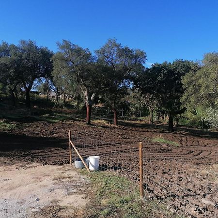 Willa Casas De Marvao - Quinta Da Bela Vista Zewnętrze zdjęcie