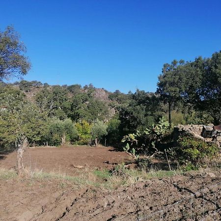 Willa Casas De Marvao - Quinta Da Bela Vista Zewnętrze zdjęcie